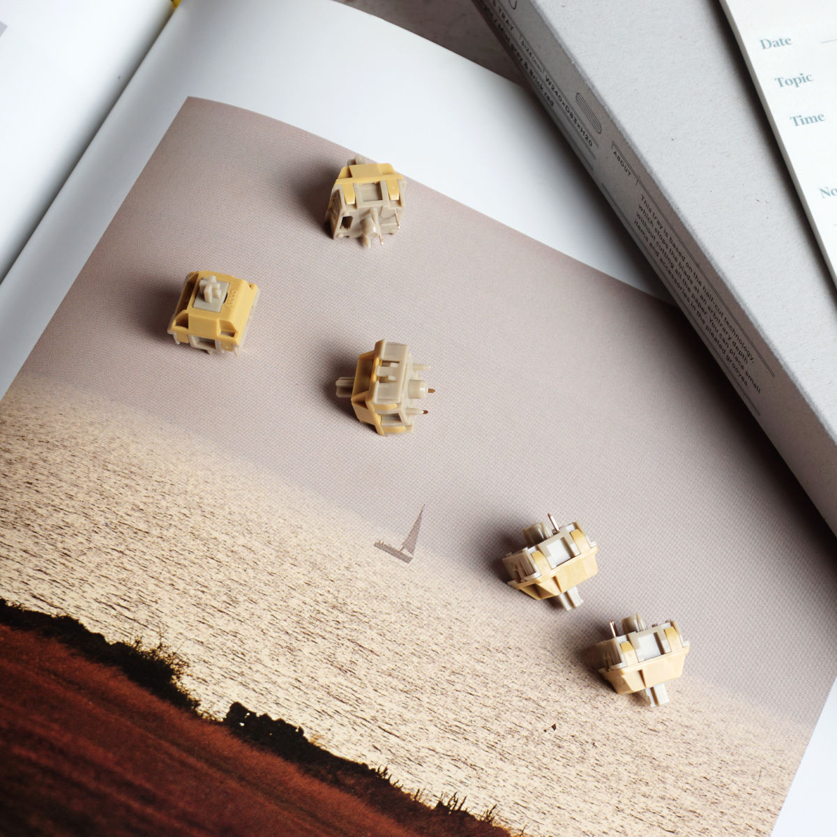 Switche Akko Bittersweet tactile